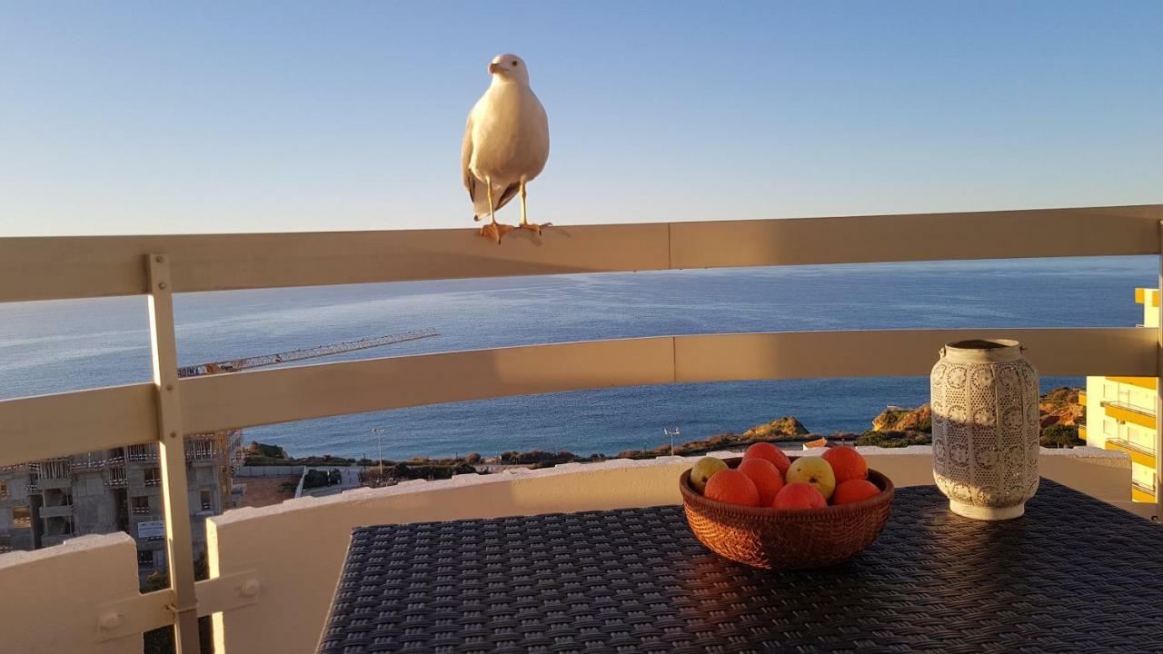 Apartment Ma Vue En Algarve Portimao